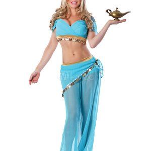 Princess Jasmine Adult Cosplay Costume Size Small